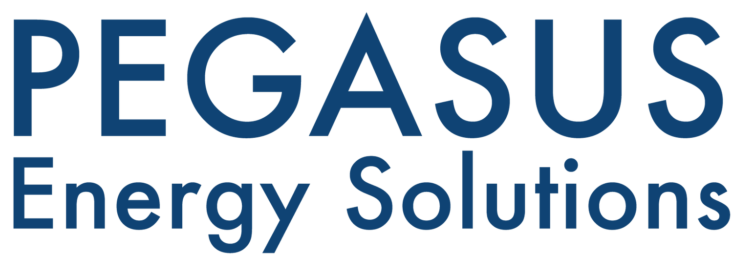Secure Energy & Water Audit Exemptions | Save Costs — Pegasus
